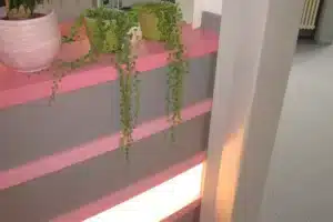 Zahnarzt-Praxis Hollunder, Erfurt